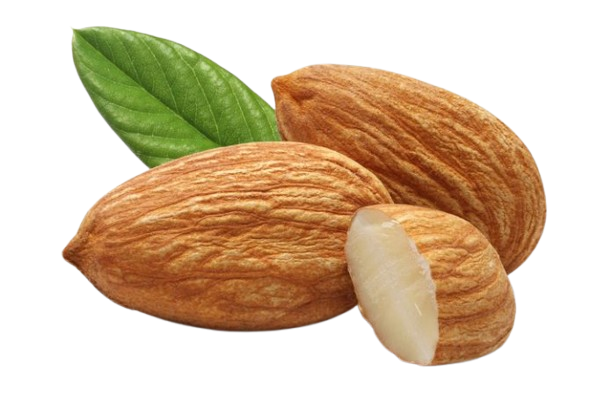 بادام درختی برای لاغری