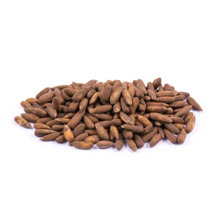 تخمه چلغوز اعلا