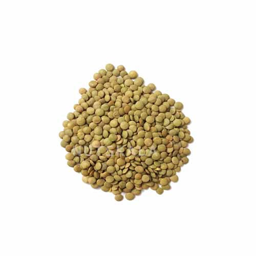 kernelo-nutskala-lentis